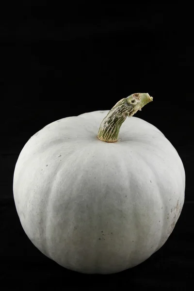 Neat pumpkin on white stock image. Image of holiday, shape - 34258691