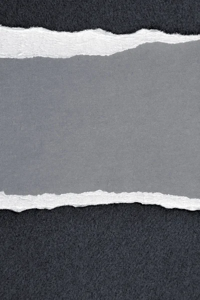 Ripped паперу — стокове фото