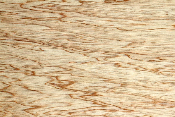 在木材中的谷物的特写 — 图库照片