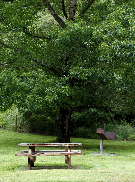 Стол для пикника — стоковое фото