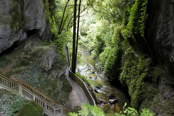 stock image Stairs inside cave, New Zealand