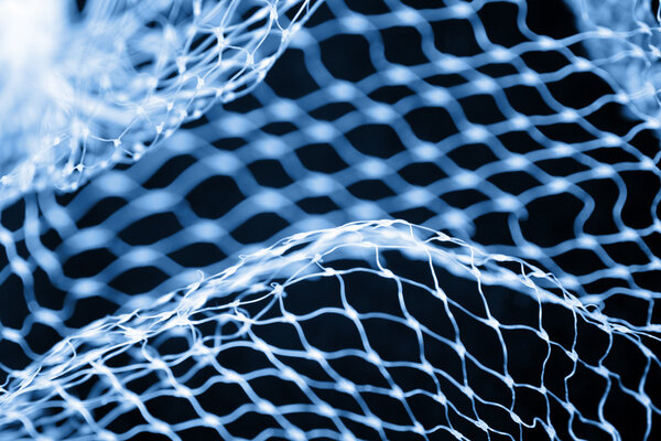Netting