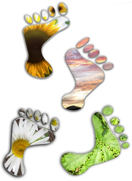 stock image Environmental footprints