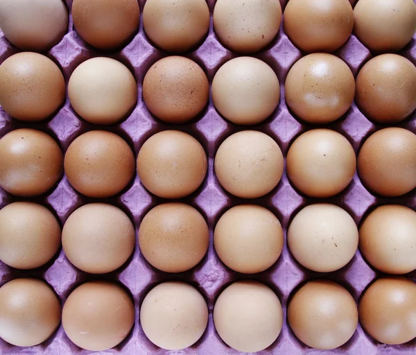 Gros plan des œufs dans le plateau — Photo