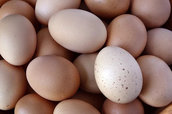 Closeup de ovos de galinha frescos — Fotografia de Stock