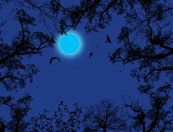 Branches d'arbres contre le ciel bleu — Image vectorielle