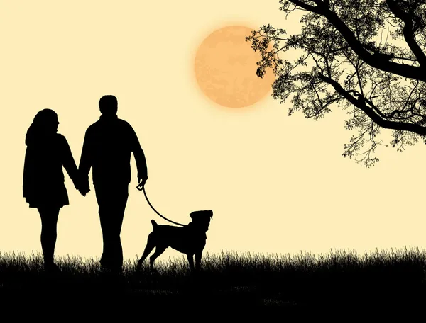Silueta de una pareja paseando a su perro al atardecer — Vector de stock