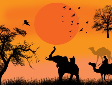 Afrika safari Tema vektör çizim Develer ve sunet fil
