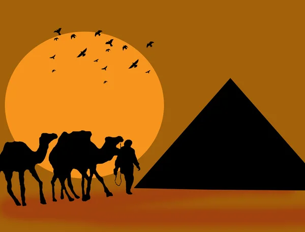 Silhouette of camels and pyramid against a sunset sky — Stock Vector