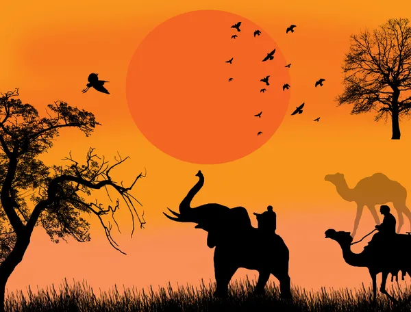 African safari theme vector illustration with camels and elephant on sunet — Stock Vector