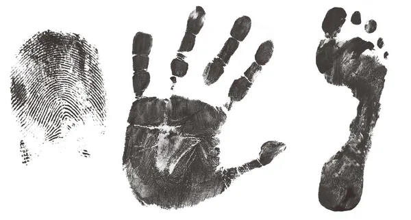 指、手と足を印刷します。 — ストックベクタ
