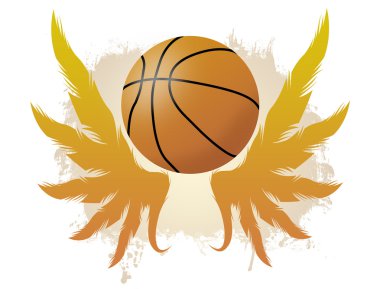 kanatlı basketbol topu