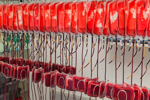 Sangre del donante sangre en el laboratorio de sangre — Foto de Stock