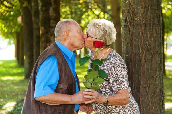 Влюбленная пожилая пара . — стоковое фото