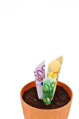 Euro banknotes grow from flower pot clipart