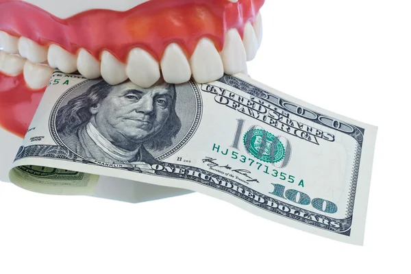 Tooth model with dollar bills — Stock Photo, Image