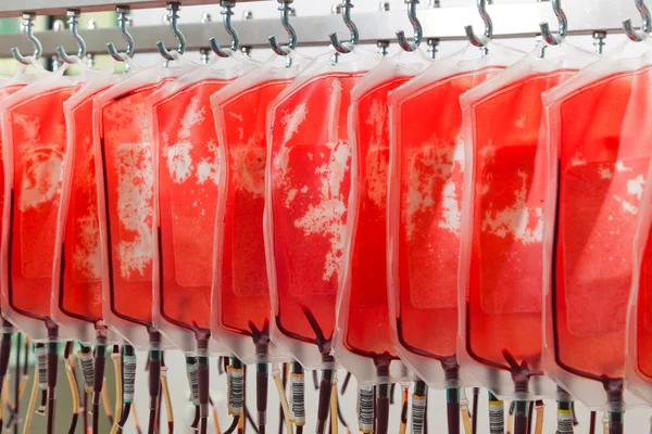 Sangue de dadores de sangue — Fotografia de Stock