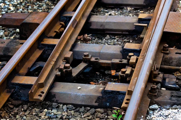 Opkomst bij de spoorweg track — Stockfoto