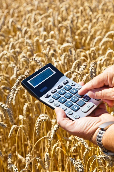 Agricoltore con calcolatrice su scatola di cereali — Foto Stock