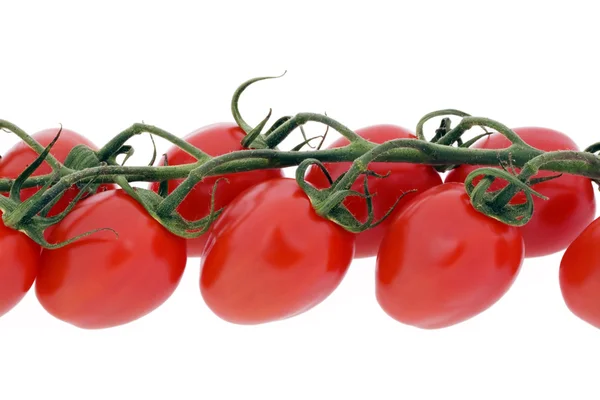 Tomatoes, cocktail tomatoes, cherry tomatoes — Stockfoto