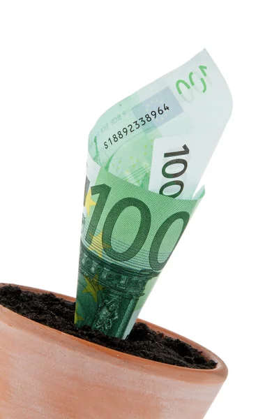 Евро-счет в цветочном горшке . — стоковое фото