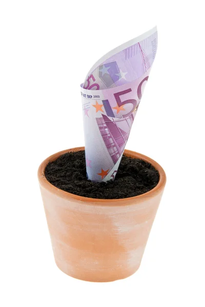 Euro-bill in bloempot. — Stockfoto