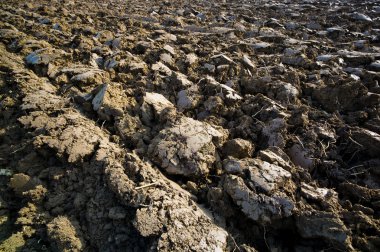 A farmer's plowed field clipart