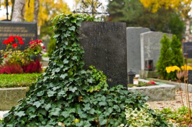 Stone grave in a cemetery clipart