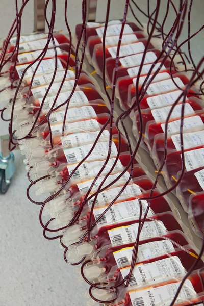 Sangue del donatore nel laboratorio del sangue — Foto Stock