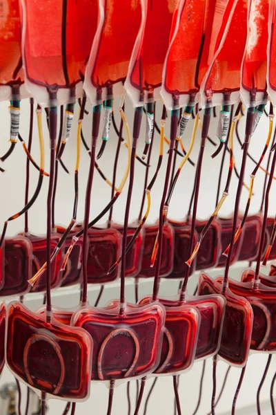Krev od dárců krve v laboratoři krev — Stock fotografie