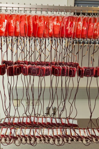 Krev od dárců krve v laboratoři krev — Stock fotografie