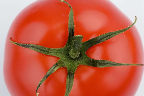 白色背景的西红柿 — 图库照片