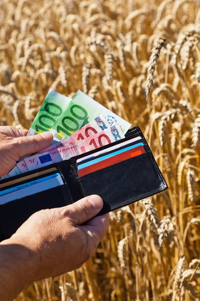 Фермер з гаманцем на зерновій коробці — стокове фото