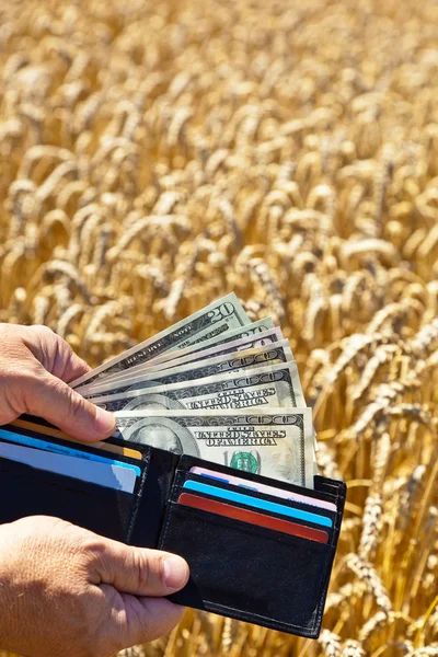 Landwirt mit Geldbörse auf Müslibox — Stockfoto