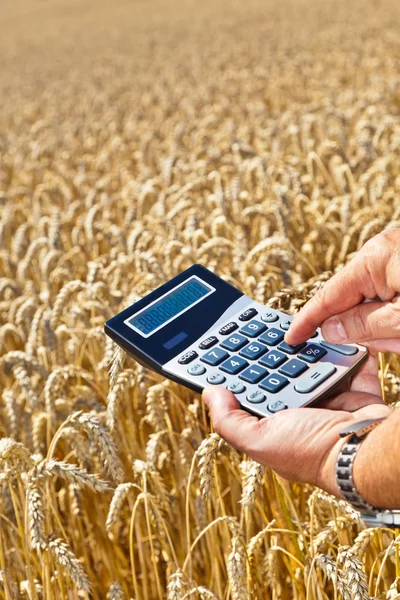 Фермер з калькулятором на зерновій коробці — стокове фото