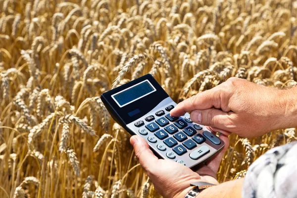 Mezőgazdasági termelő a gabonapelyhes dobozban számológéppel — Stock Fotó