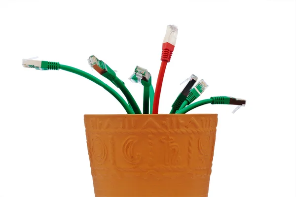 Rede de cabos em vaso de flores — Fotografia de Stock