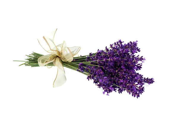 Lavendel op een witte achtergrond — Stockfoto