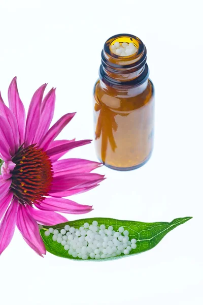 Homeopati. globuler som alternativ medicin — Stockfoto