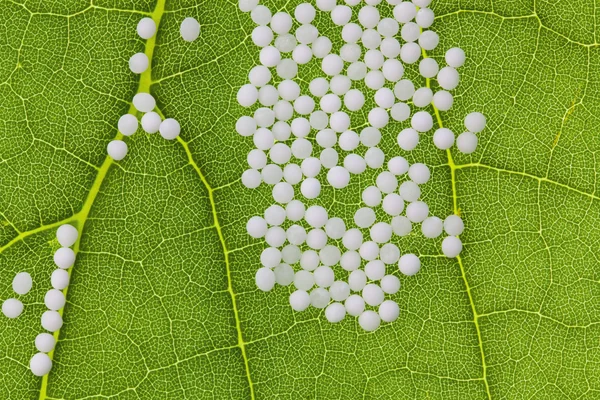 Homeopatia. glóbulos como medicina alternativa — Fotografia de Stock