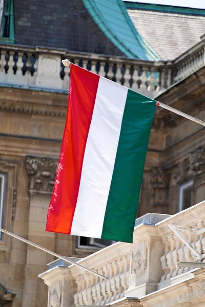 Bandeira nacional húngara — Fotografia de Stock