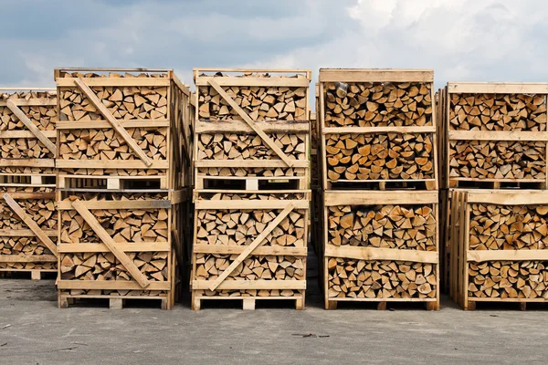 Stacking wood for firewood — Stock Photo, Image