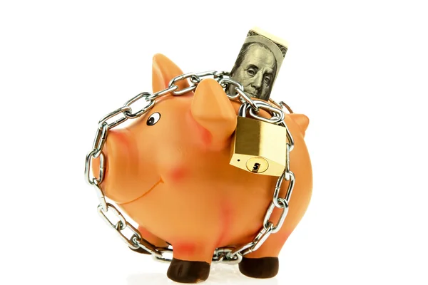 Piggy bank with money chain and dollar — Stock Photo, Image