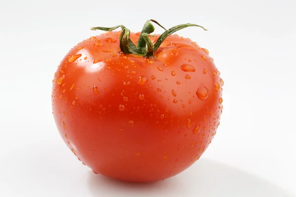 Tomat på vit bakgrund — Stockfoto