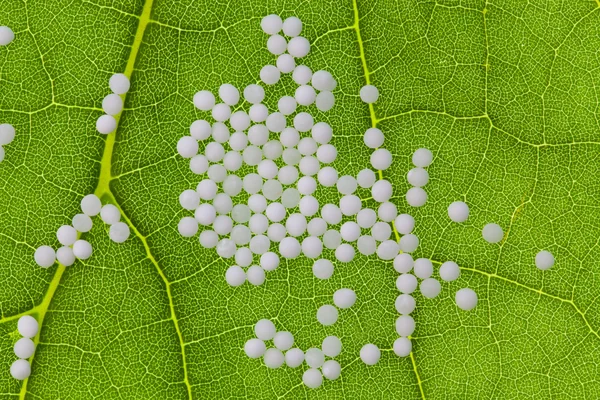 Homeopati. Alternatif Tıp olarak globüller — Stok fotoğraf