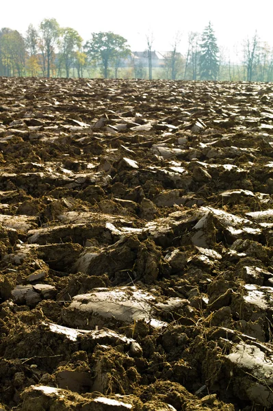 Campo arado de um agricultor — Fotografia de Stock