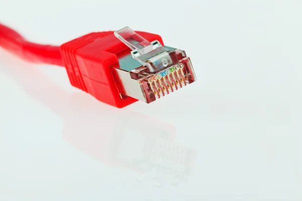 Cable de red desde un ordenador — Foto de Stock