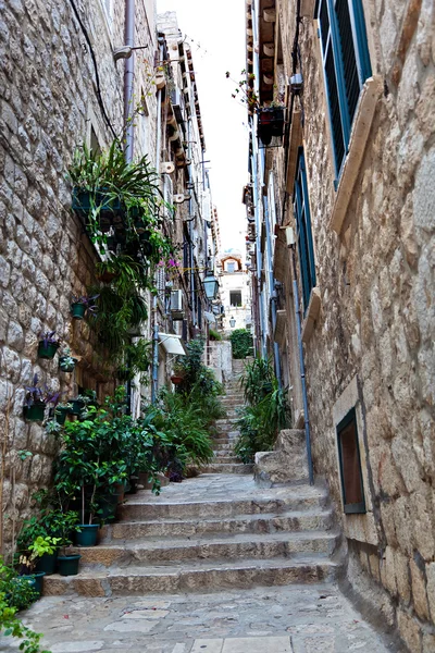 Croatie, Dubrovnik, ruelle — Photo