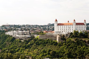 Slovakia, bratislava castle and parliament clipart