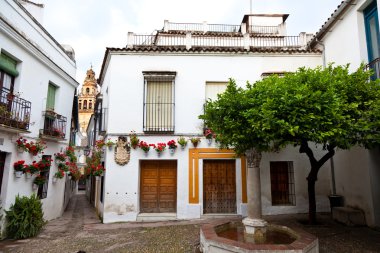 Spain, cordoba, calleja de las flores clipart